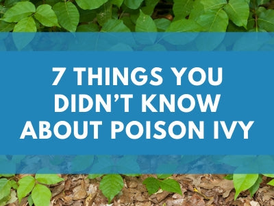 7 Things You Didn’t Know About Poison Ivy