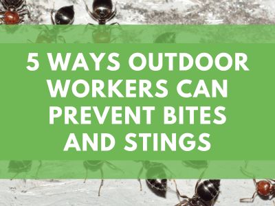 5 Ways Outdoor Workers Can Prevent Bites and Stings