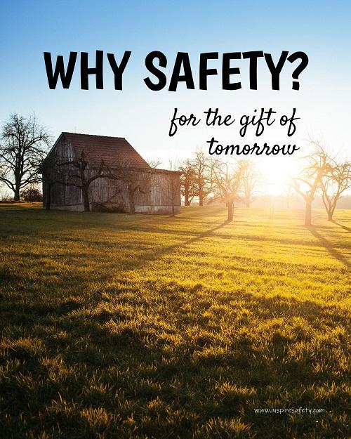 A workplace safety poster showing an old house on a large green yard with many trees, and the sun setting in the background casting light over all of the trees with the slogan why safety? for the gift of tomorrow.