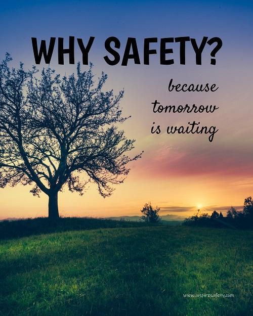 A workplace safety poster showing a giant flourishing tree with the sun setting in the background casting beautiful warm colors over the horizon and silhouetting the tree with the slogan why safety? because tomorrow is waiting.