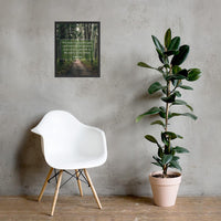 A workplace safety poster of a lush green forest with a footpath cutting directly in the middle winding down the forest with the a safety quote by Joseph Joubert centered on the poster.